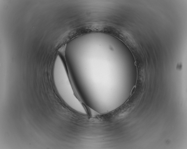 X0000090440697200707272154