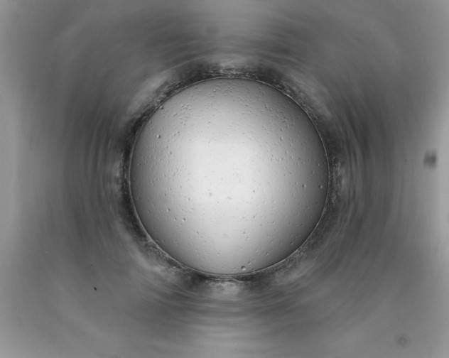 X0000090440698200707272154