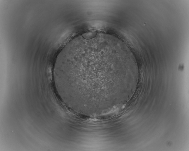 X0000090440699200707272154