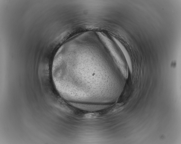 X0000090440700200707272154