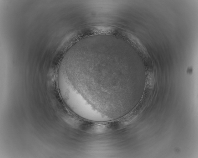 X0000090440701200707272154