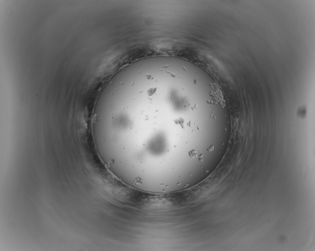 X0000090440702200707272154