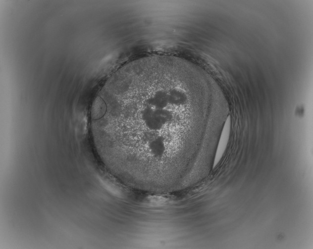 X0000090440703200707272154