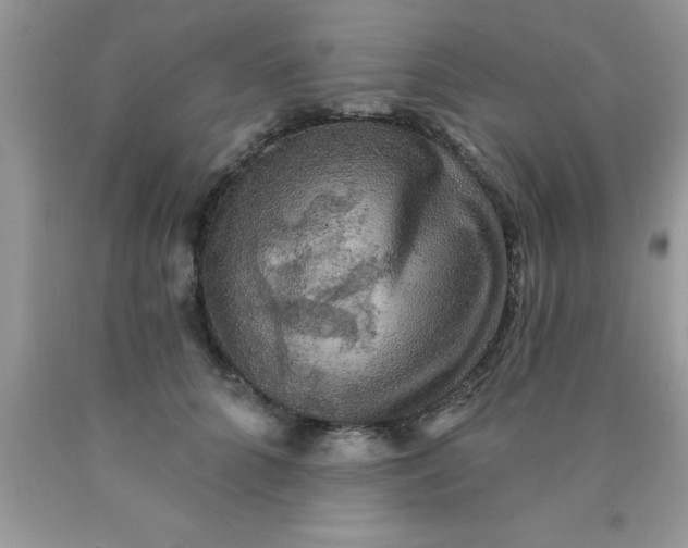 X0000090440704200707272154