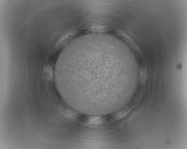 X0000090440705200707272154