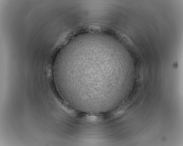 X0000090440706200707272154