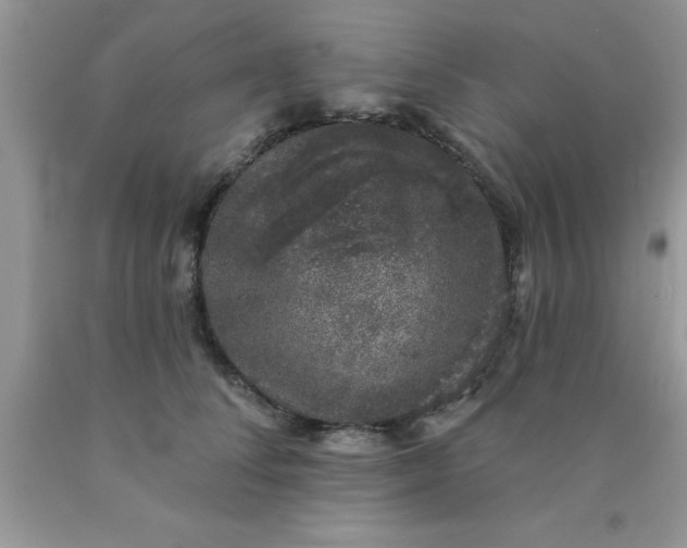 X0000090440708200707272154