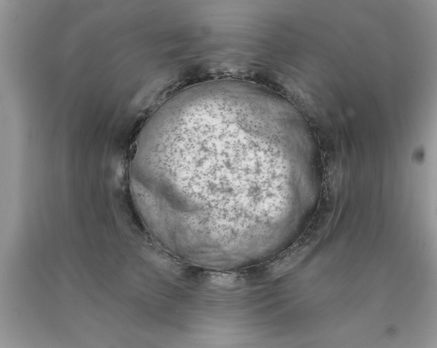 X0000090440709200707272154