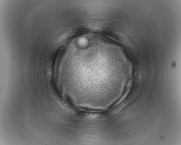 X0000090440710200707272154