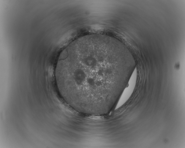 X0000090440711200707272154