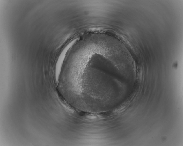 X0000090440712200707272154