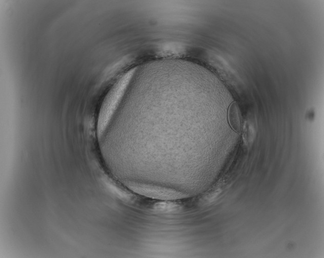 X0000090440714200707272154