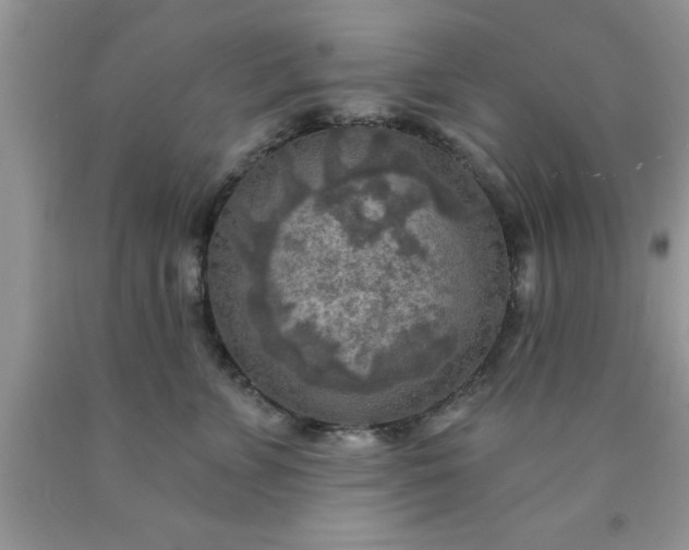 X0000090440715200707272154