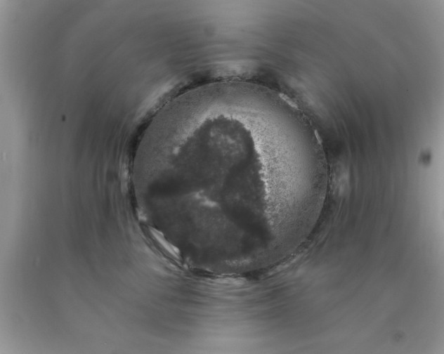 X0000090440716200707272154