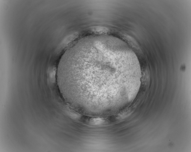 X0000090440717200707272154