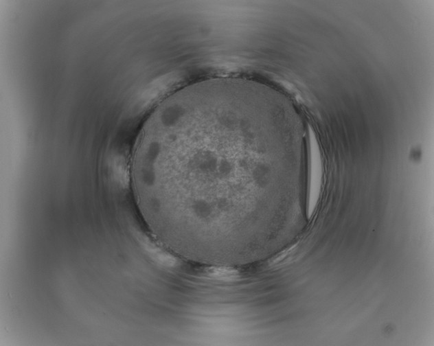 X0000090440719200707272154