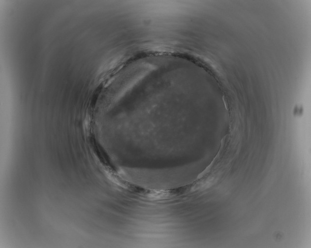 X0000090440720200707272154