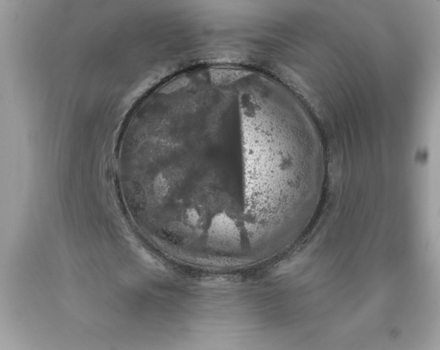 X0000090440721200707272154