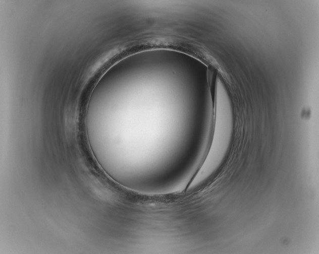 X0000090440722200707272154