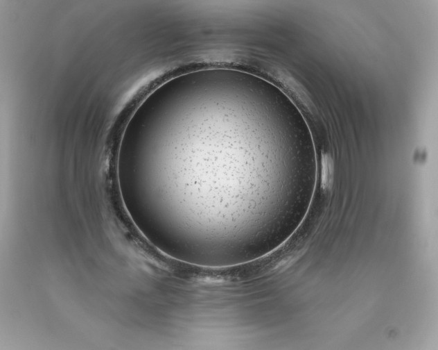 X0000090440723200707272154