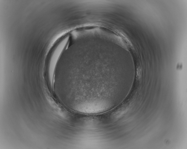 X0000090440724200707272154