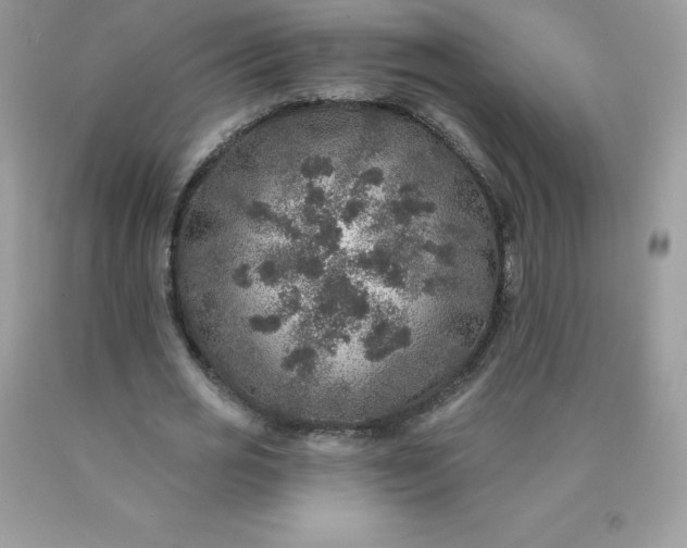 X0000090440725200707272154