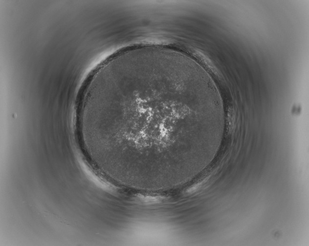 X0000090440726200707272154