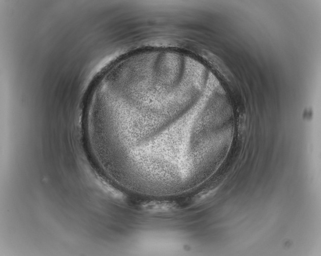 X0000090440727200707272154