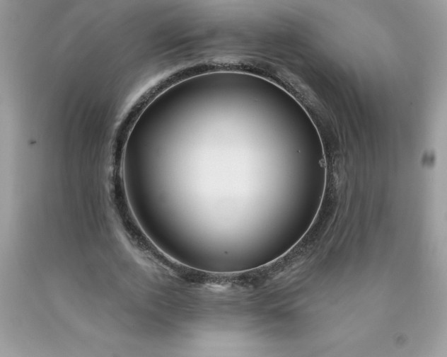 X0000090440728200707272154