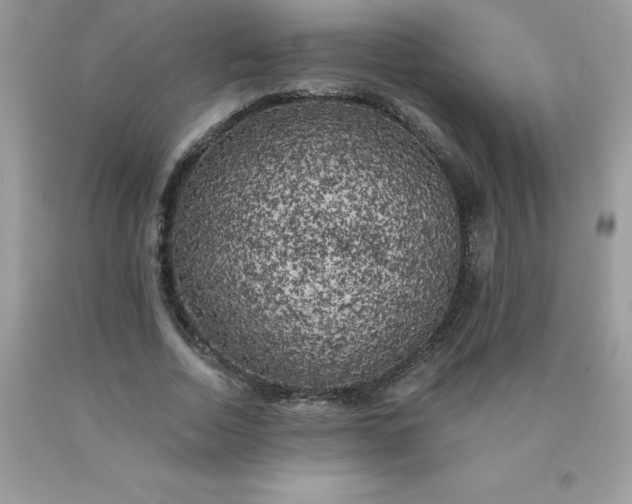 X0000090440730200707272154