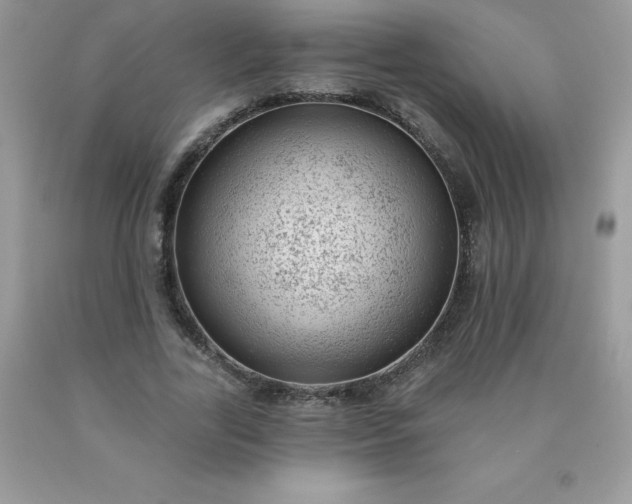 X0000090440731200707272154