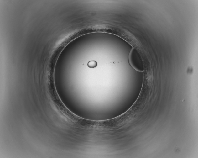 X0000090440732200707272154