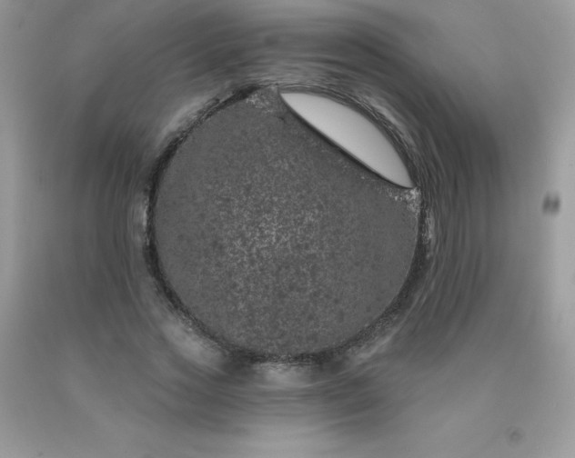 X0000090440733200707272154