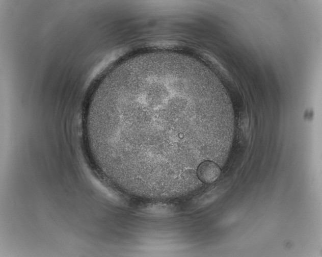 X0000090440734200707272154