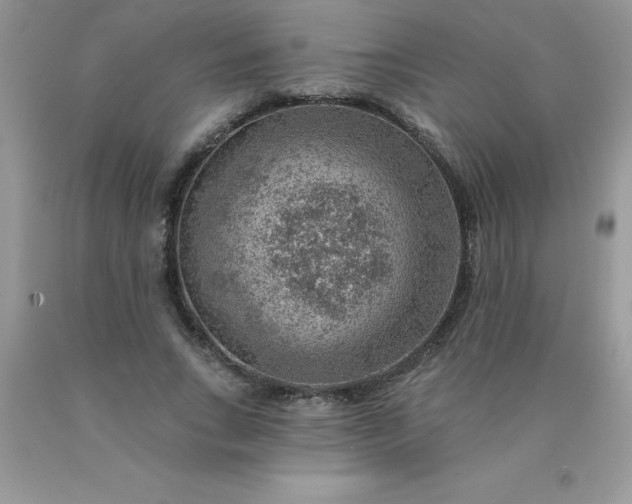 X0000090440735200707272154