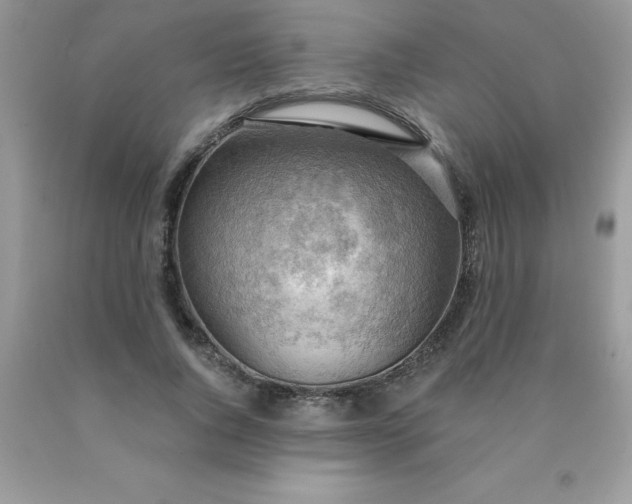 X0000090440736200707272154