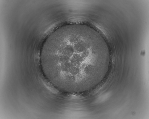 X0000090440737200707272154