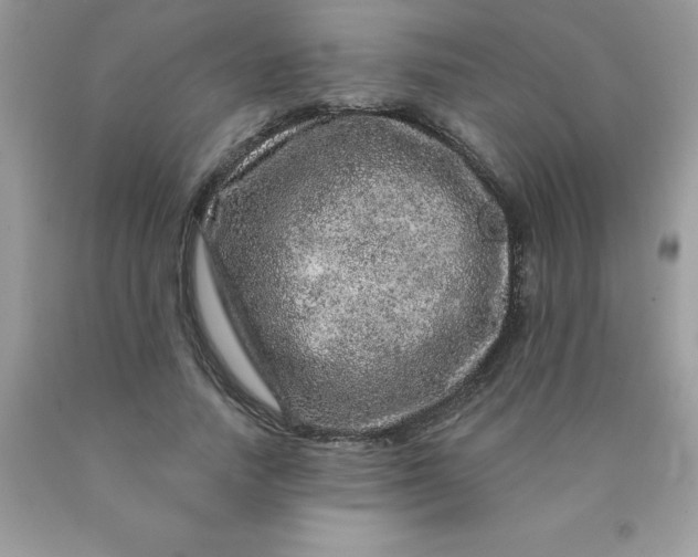 X0000090440738200707272154