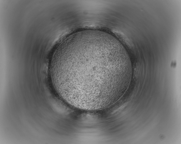 X0000090440739200707272154