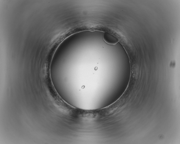 X0000090440740200707272154