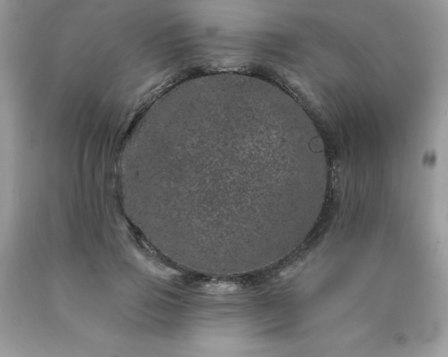 X0000090440741200707272154