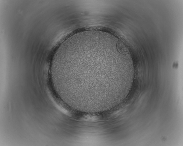 X0000090440742200707272154