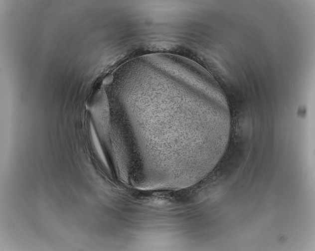 X0000090440743200707272154