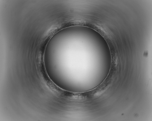 X0000090440744200707272154