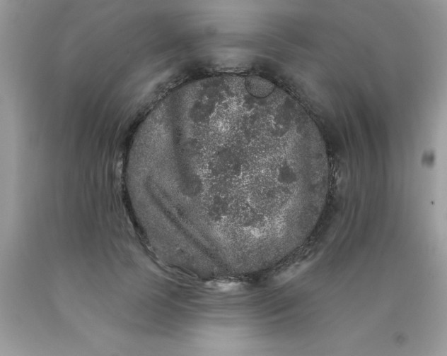 X0000090440745200707272154