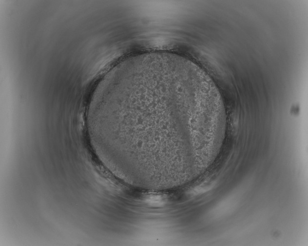 X0000090440746200707272154