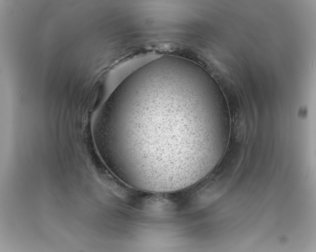 X0000090440747200707272154