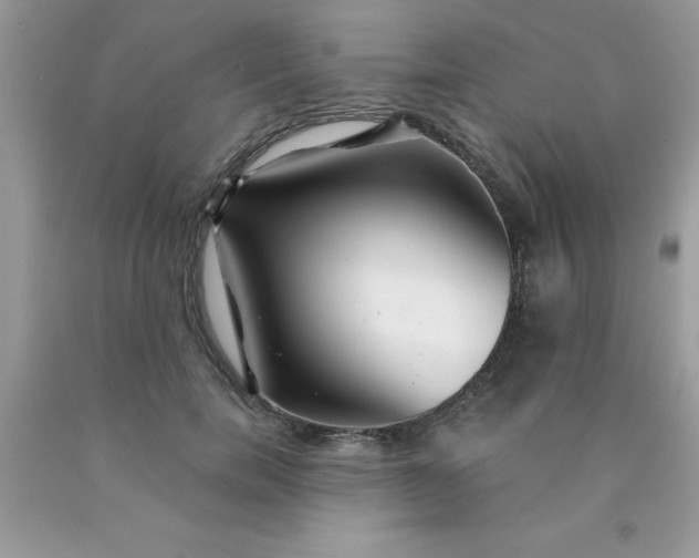 X0000090440750200707272154