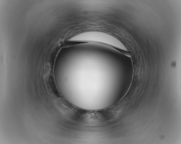 X0000090440752200707272154