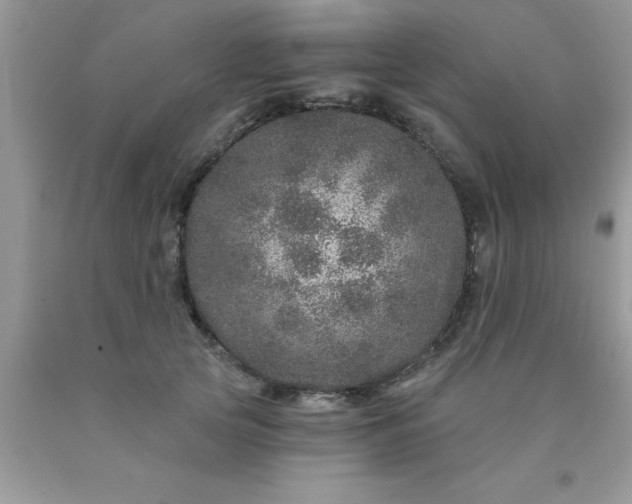 X0000090440753200707272154